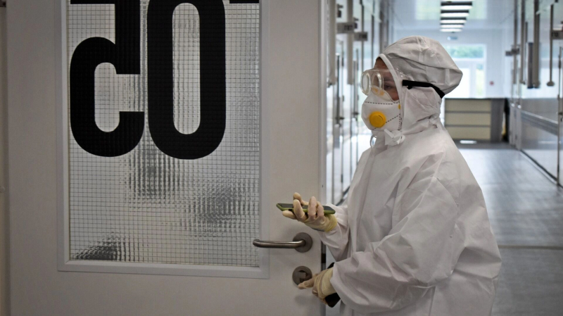 Юристы и айтишники мимо: кто станет элитой рынка труда через 5 лет