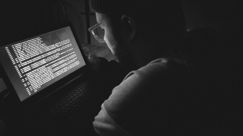 Юристы и айтишники мимо: кто станет элитой рынка труда через 5 лет