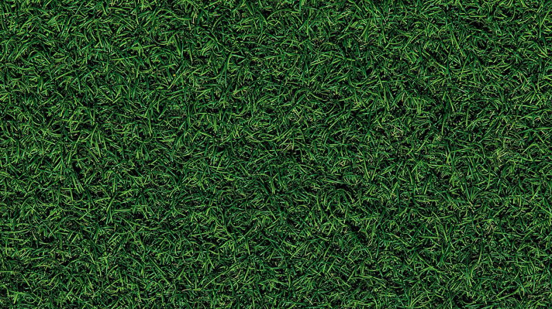 Как выбрать газонокосилку для дачи: 8 самых важных характеристик