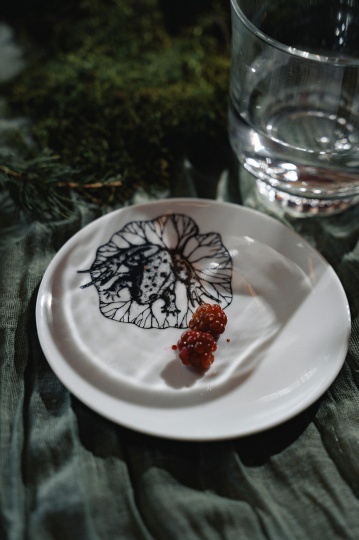 Новая коллекция проекта «Антихрупкость», посвященная уральскому лесу