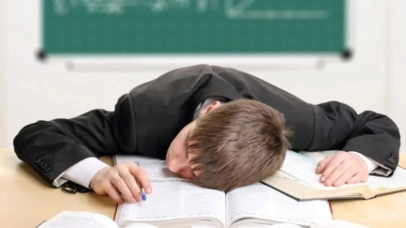 Школа — не каторга: зачем глава Рособрнадзора призвал упростить учебу наших детей