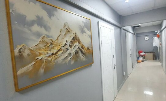 «Сталинка, я выбираю тебя!». Почему люди хотят жить в домах 30–50-х годов постройки