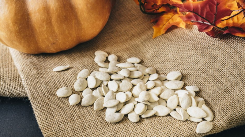 Семена тыквы сушатся перед применением в огороде