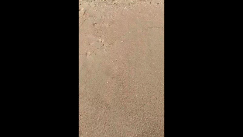 Вопрос дня: морское дно у Анапы очищено от мазута. Что дальше?