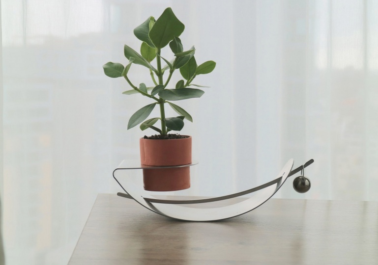 Выпускница Central Saint Martins придумала качающуюся подставку для растений