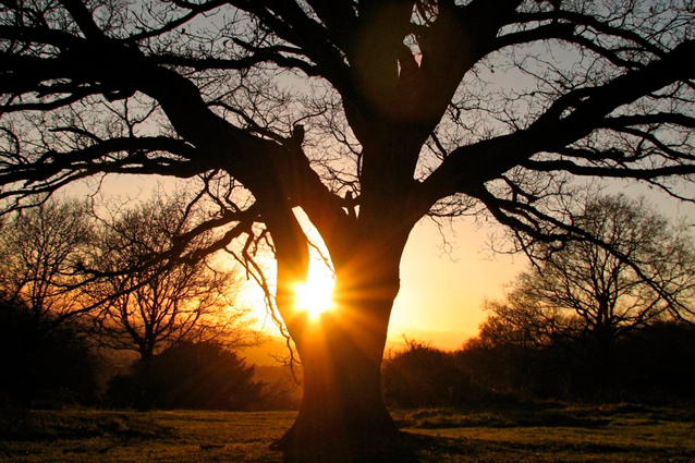 Фото: Пресс-служба