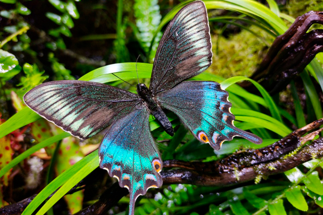 Фото: Пресс-служба