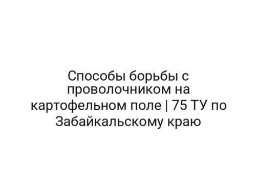 Способы борьбы с проволочником на картофельном поле | 75 ТУ по Забайкальскому краю