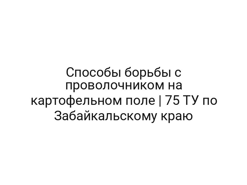 Способы борьбы с проволочником на картофельном поле | 75 ТУ по Забайкальскому краю