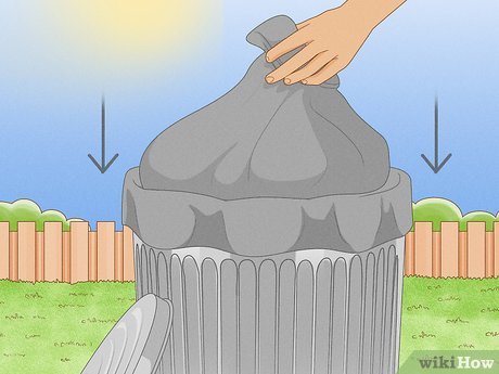 Step 2 Ежедневно выбрасывайте из дома весь мусор.